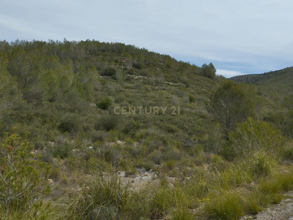 undefined - Image 8