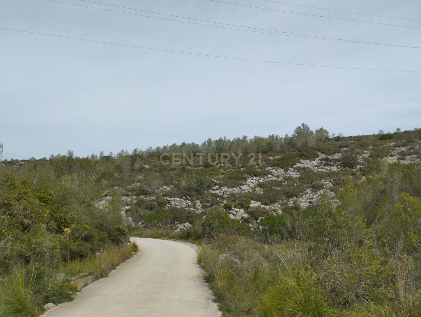 undefined - Image 9
