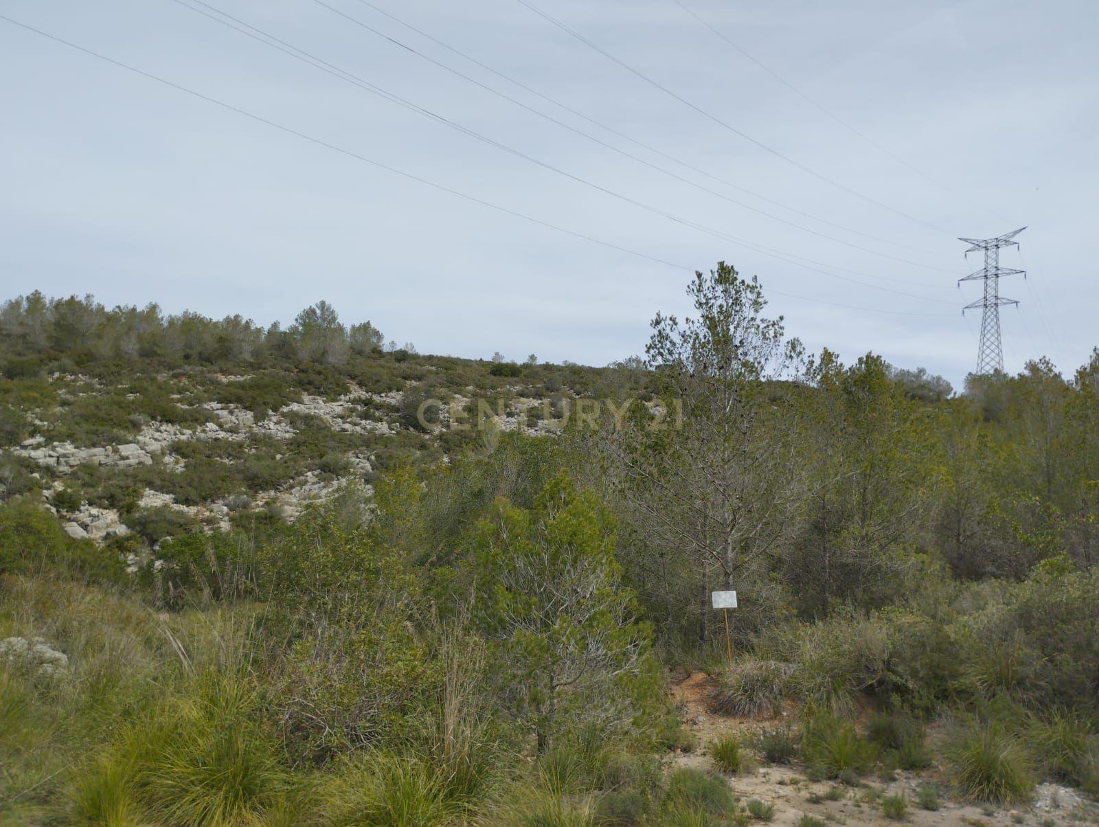 undefined - Image 22