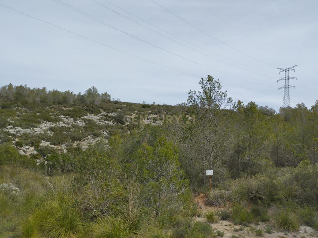 undefined - Image 22