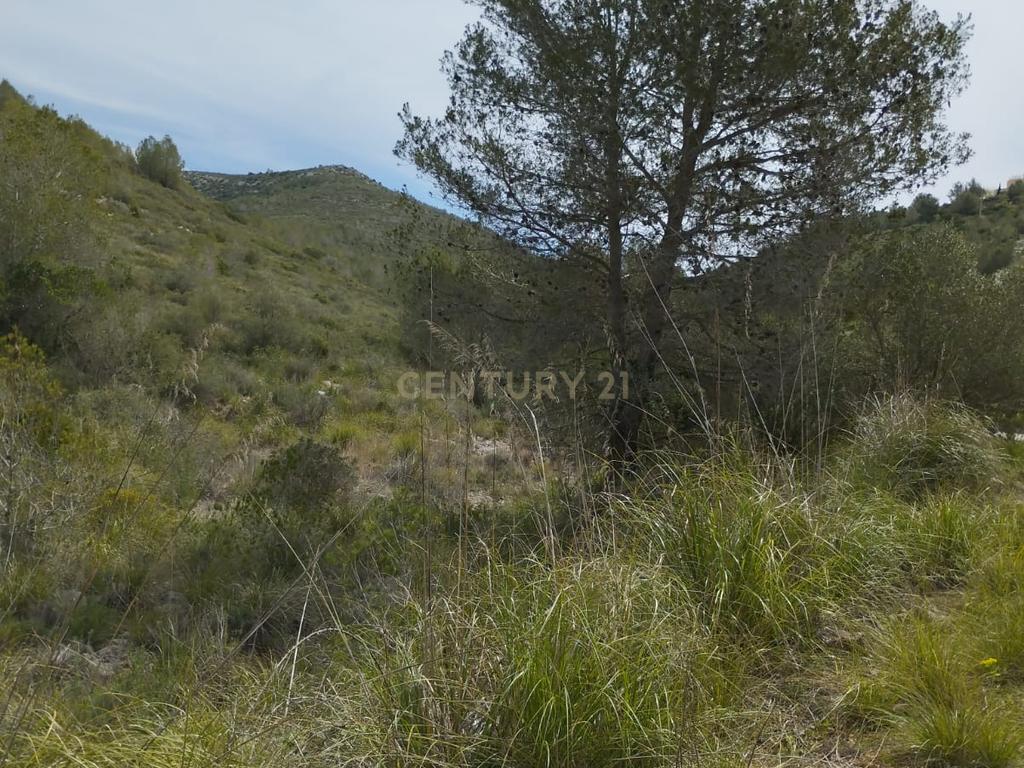 undefined - Image 21