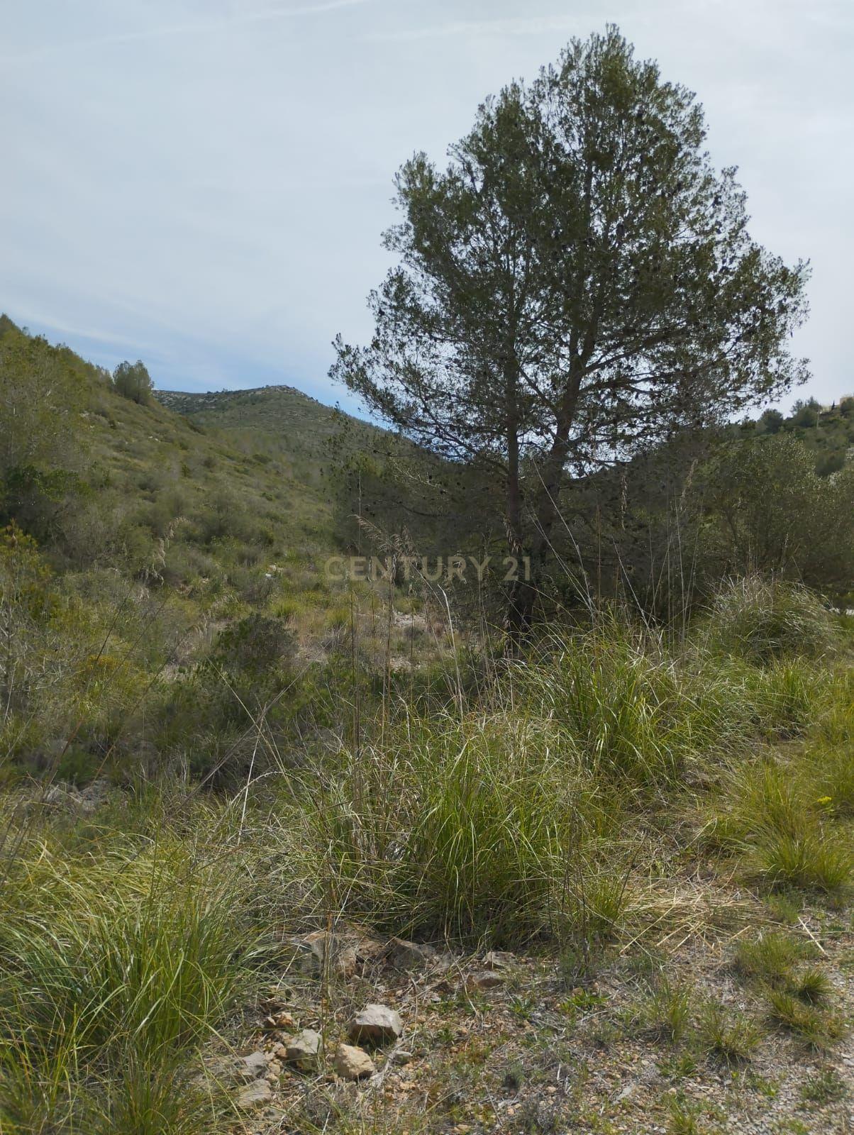 undefined - Image 11