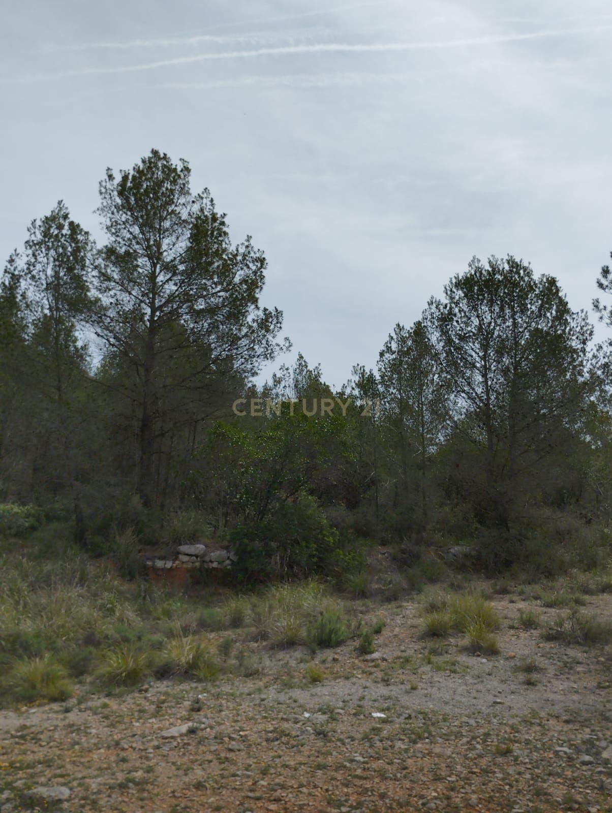 undefined - Image 20