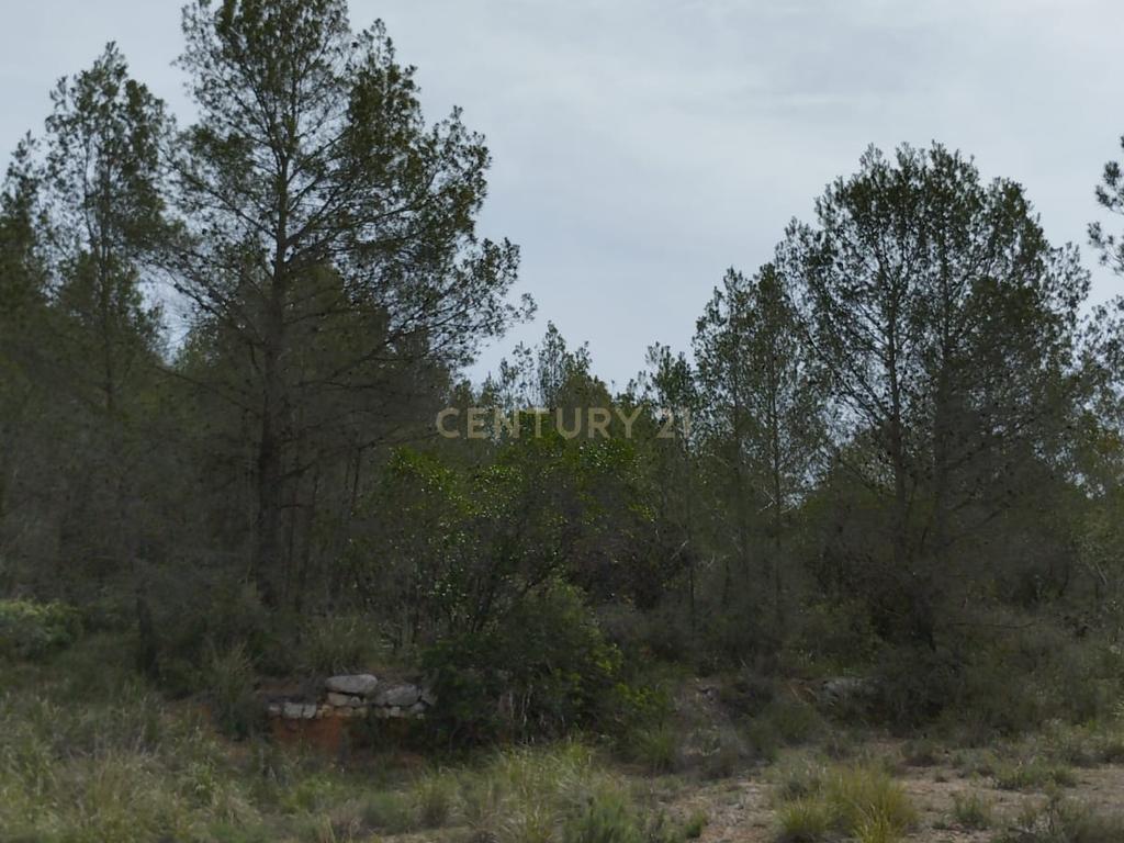 undefined - Image 20