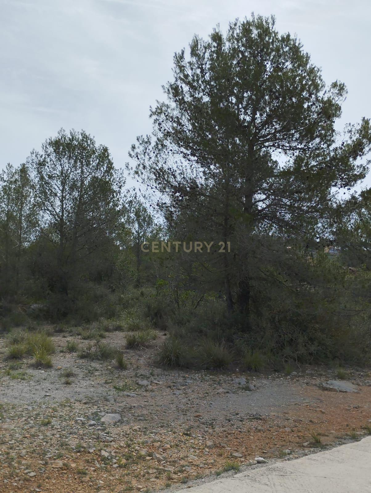 undefined - Image 24