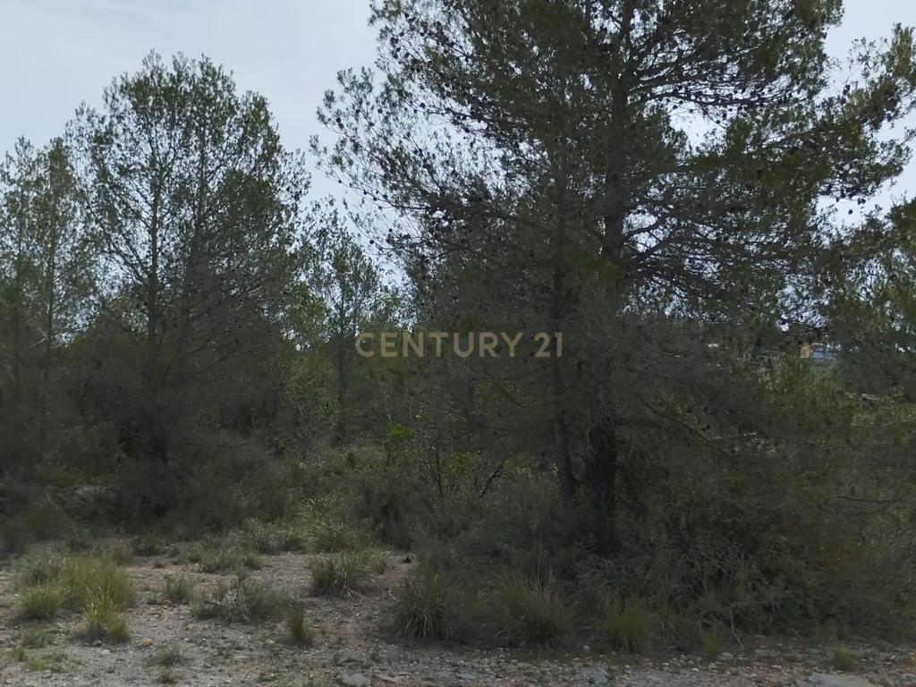 undefined - Image 24