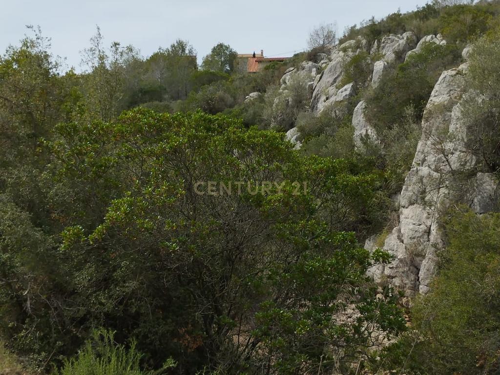 undefined - Image 15