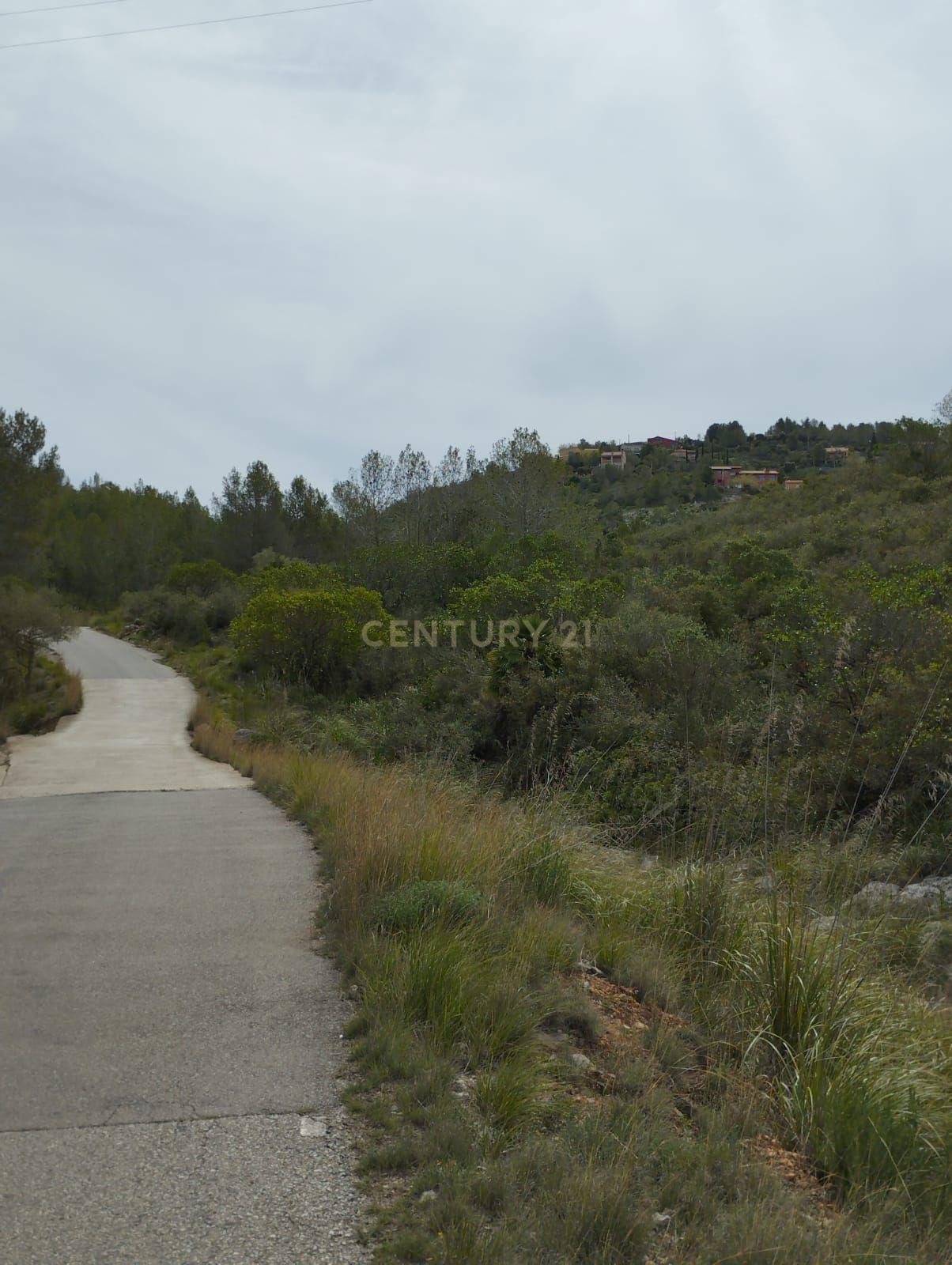 undefined - Image 19