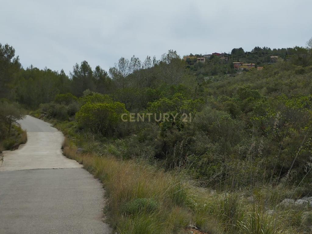 undefined - Image 19