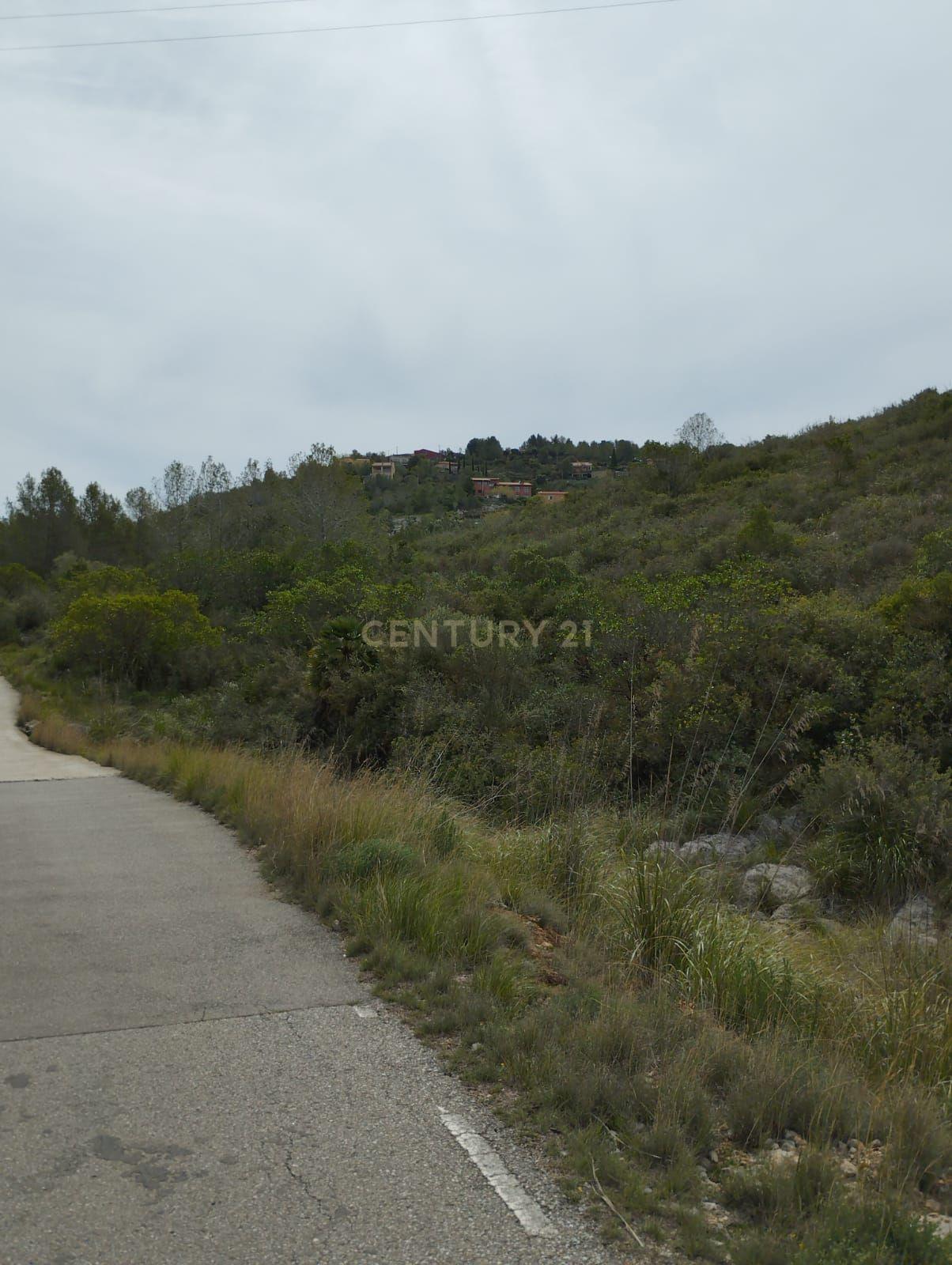 undefined - Image 10