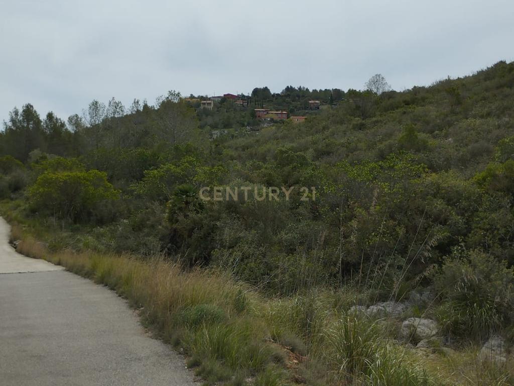 undefined - Image 10