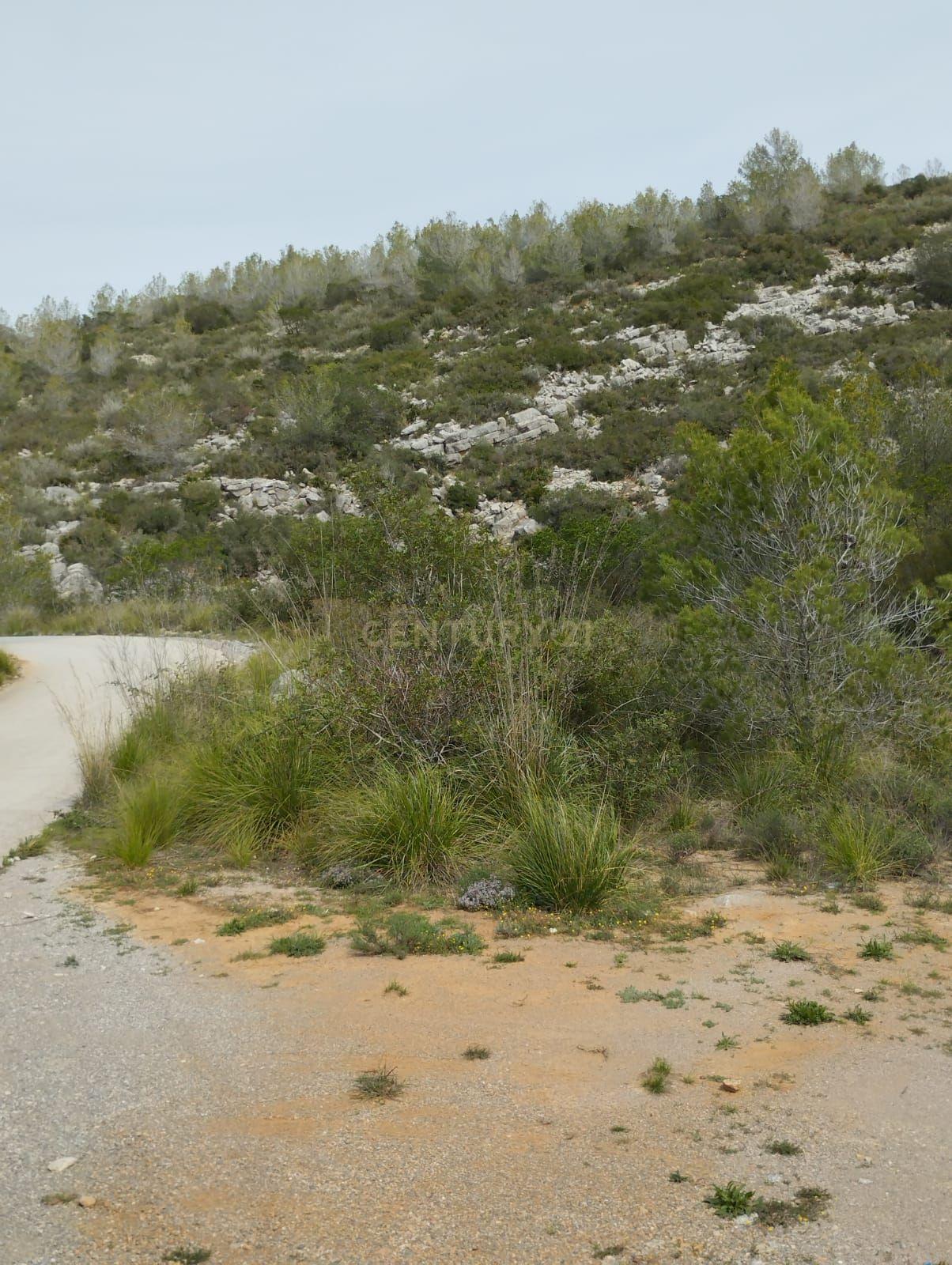 undefined - Image 16