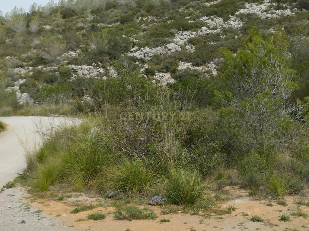 undefined - Image 16