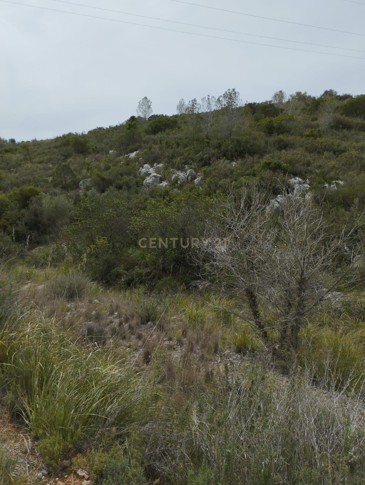 undefined - Image 12