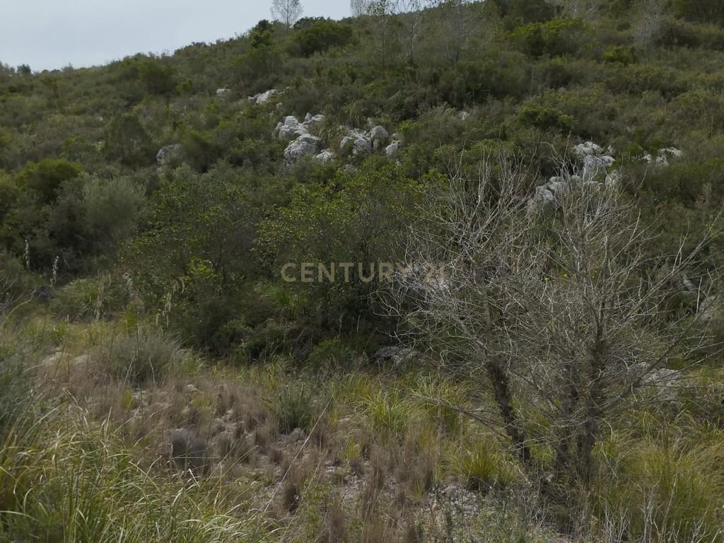 undefined - Image 12