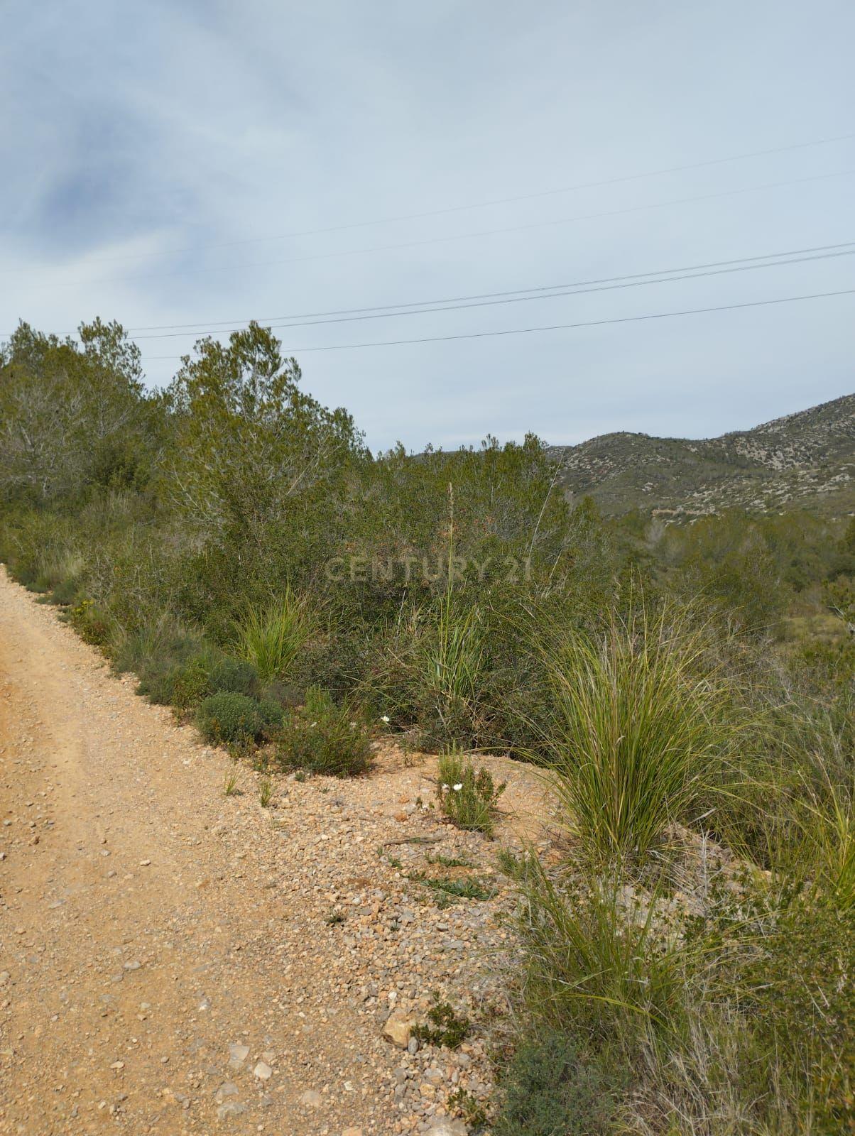 undefined - Image 6