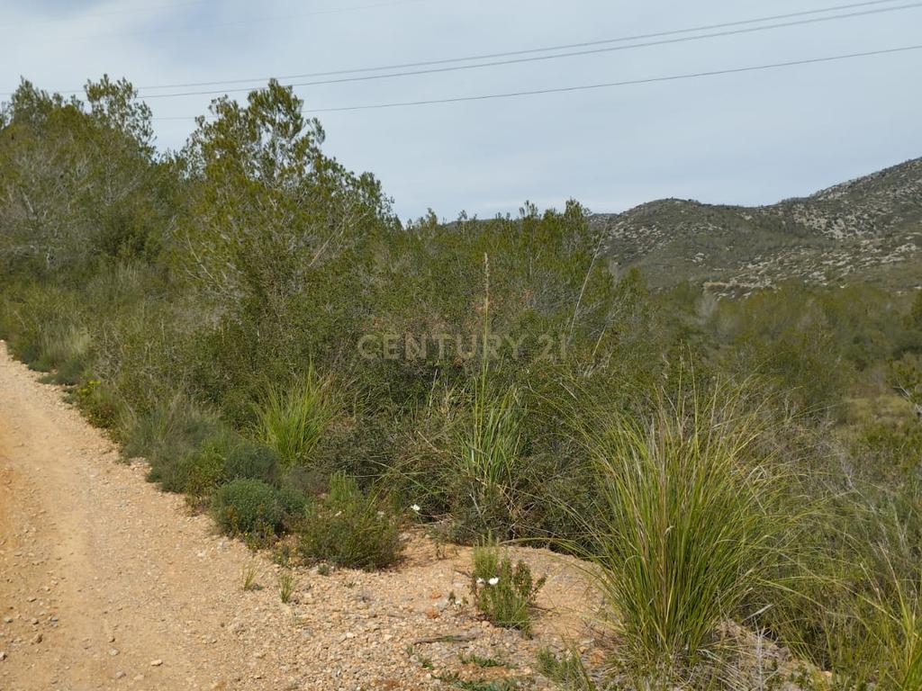 undefined - Image 6