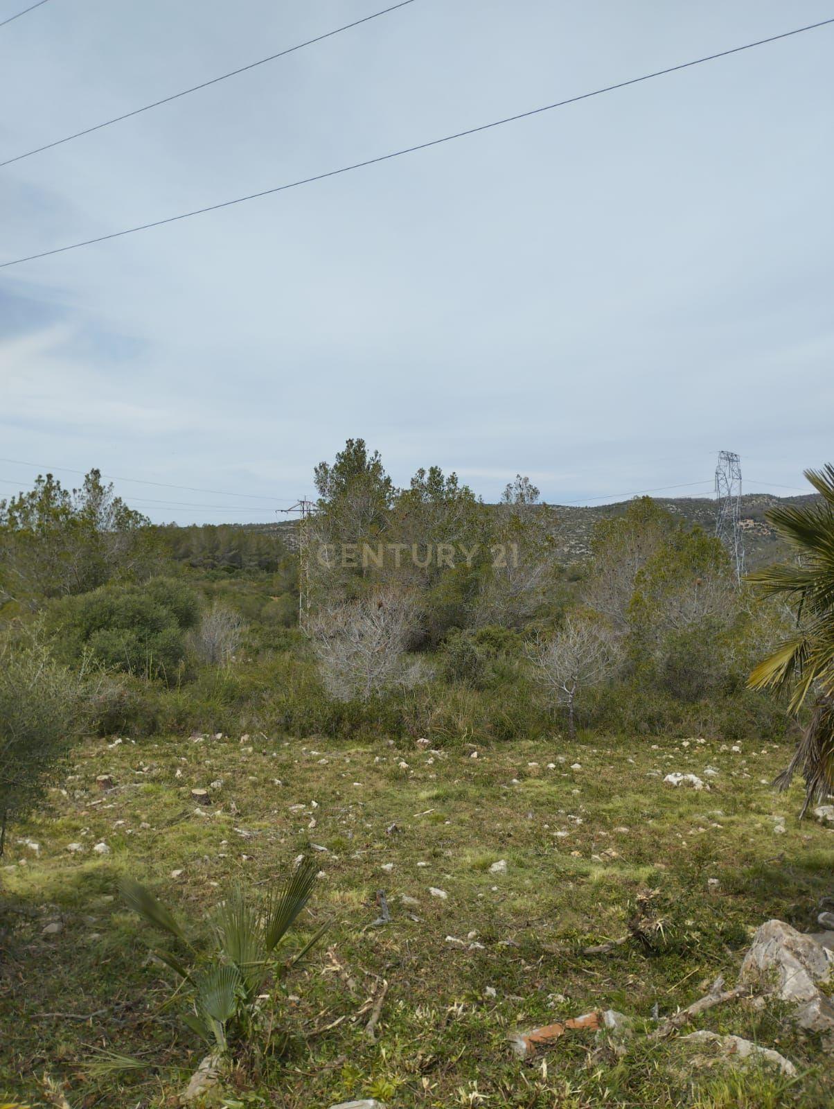 undefined - Image 3