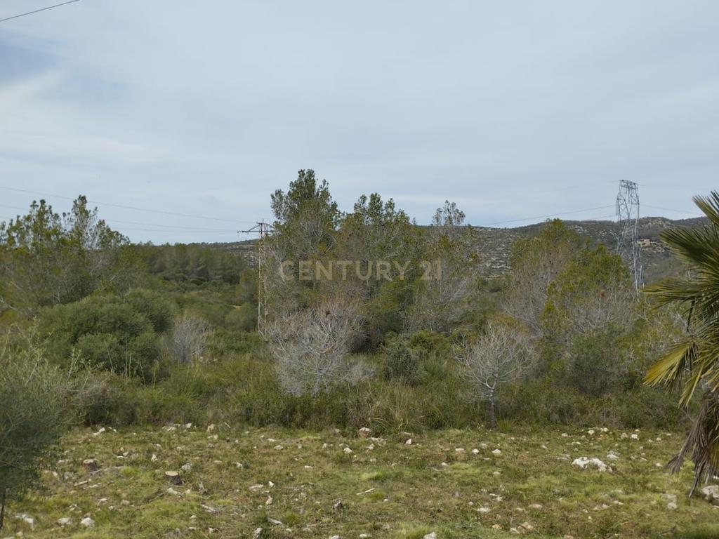 undefined - Image 3