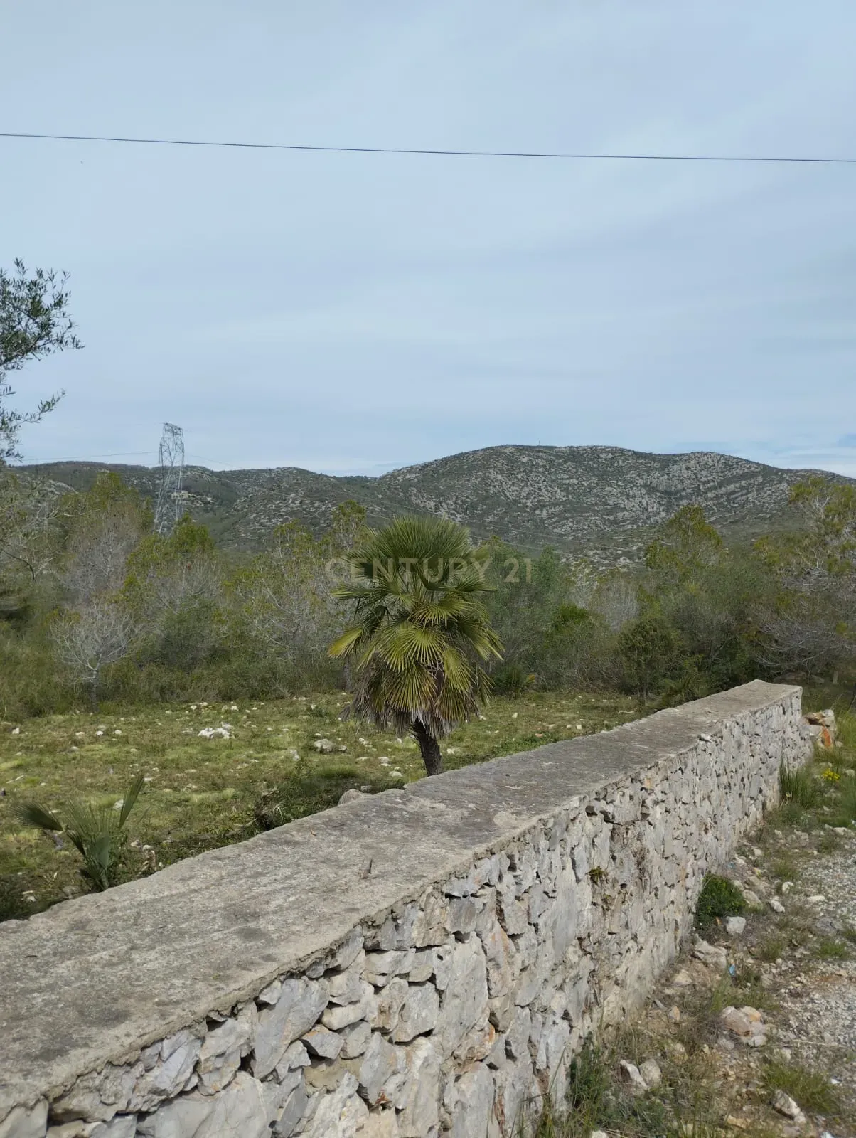 undefined - Image 1
