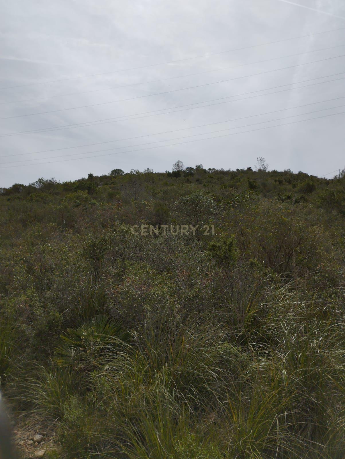 undefined - Image 5