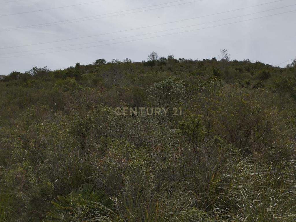 undefined - Image 5