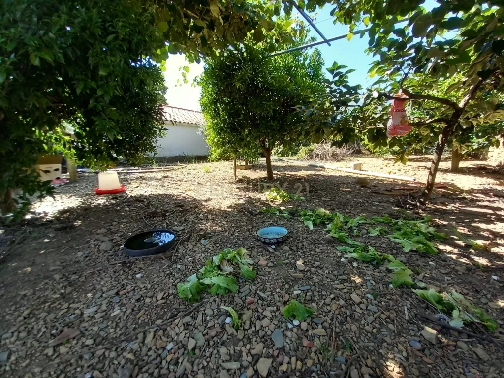 Moradia com terreno para reconstruir Roqueiro - Estreito - Image 24