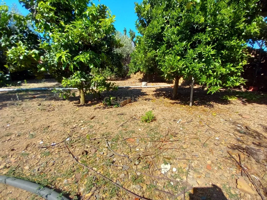 Moradia com terreno para reconstruir Roqueiro - Estreito - Image 21