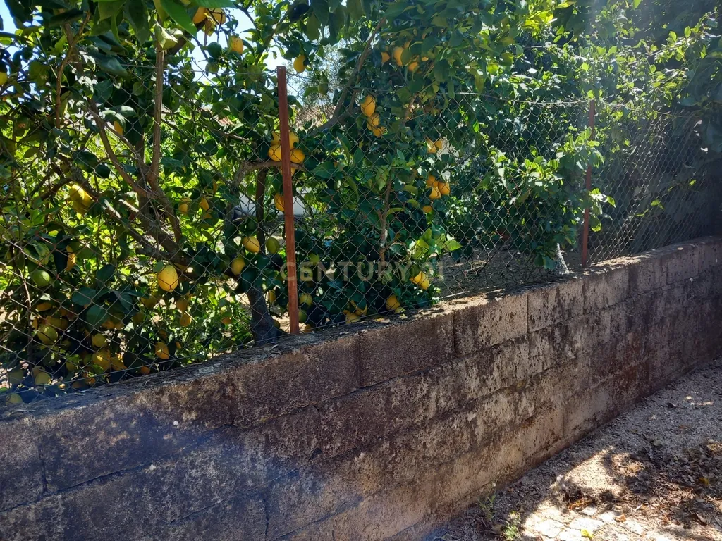 Moradia com terreno para reconstruir Roqueiro - Estreito - Image 22