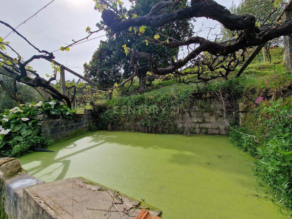 Quinta da Cepa - Image 6