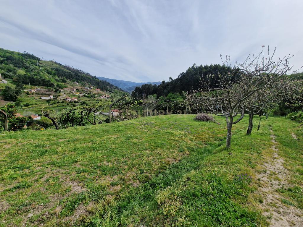 Quinta da Cepa - Image 21
