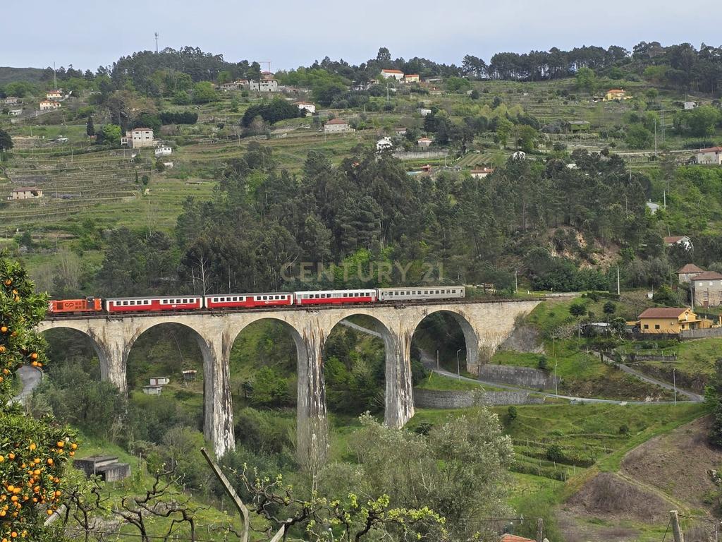 Quinta da Cepa - Image 28