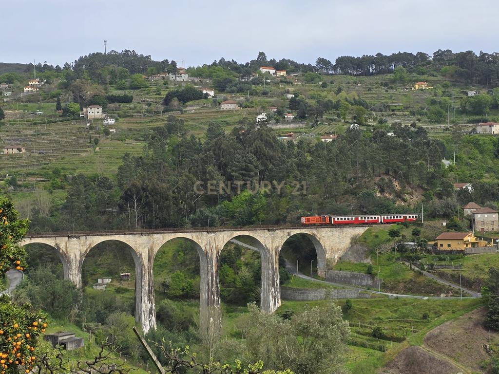 Quinta da Cepa - Image 7
