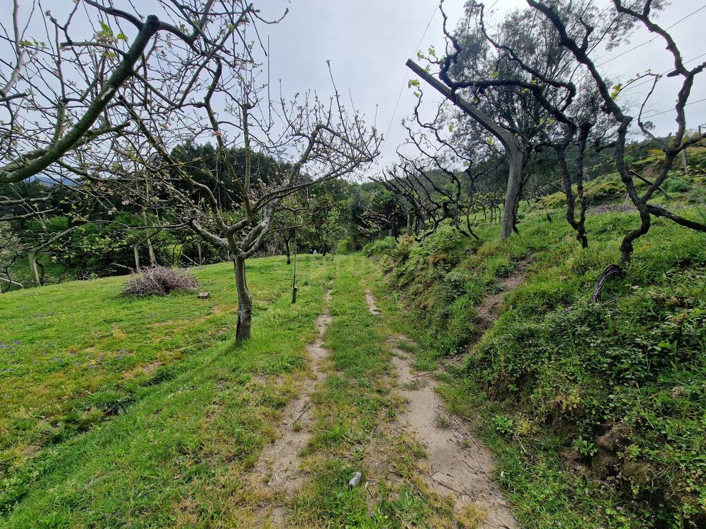 Quinta da Cepa - Image 24