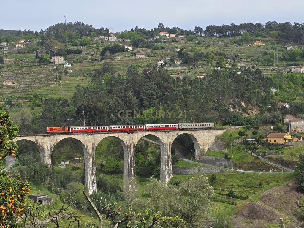 Quinta da Cepa - Image 8