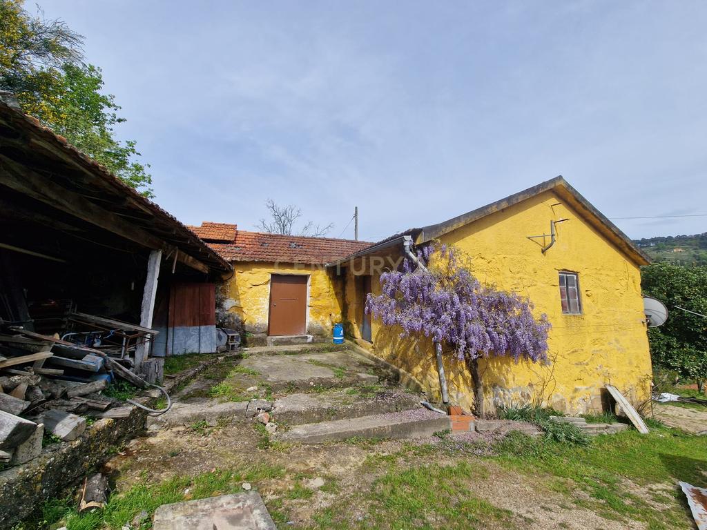 Quinta da Cepa - Image 20