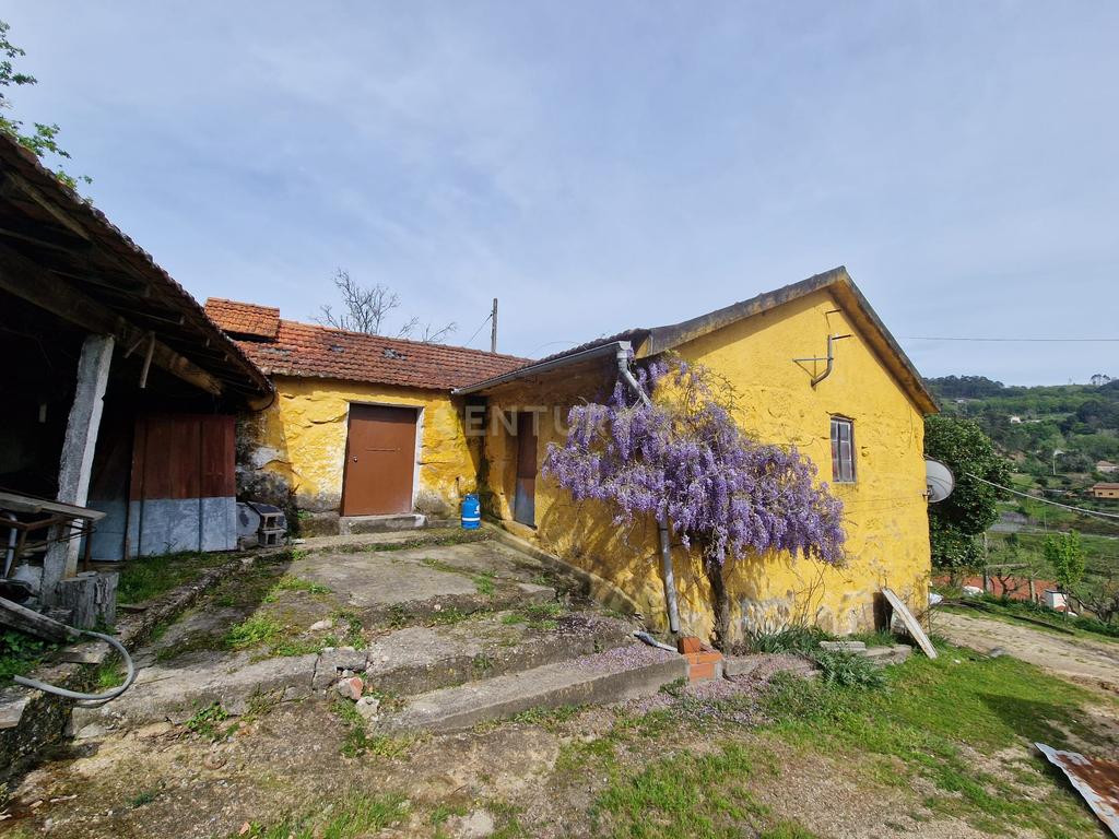 Quinta da Cepa - Image 27