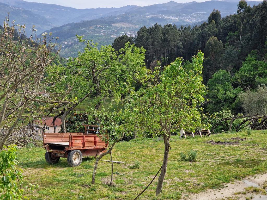 Quinta da Cepa - Image 5