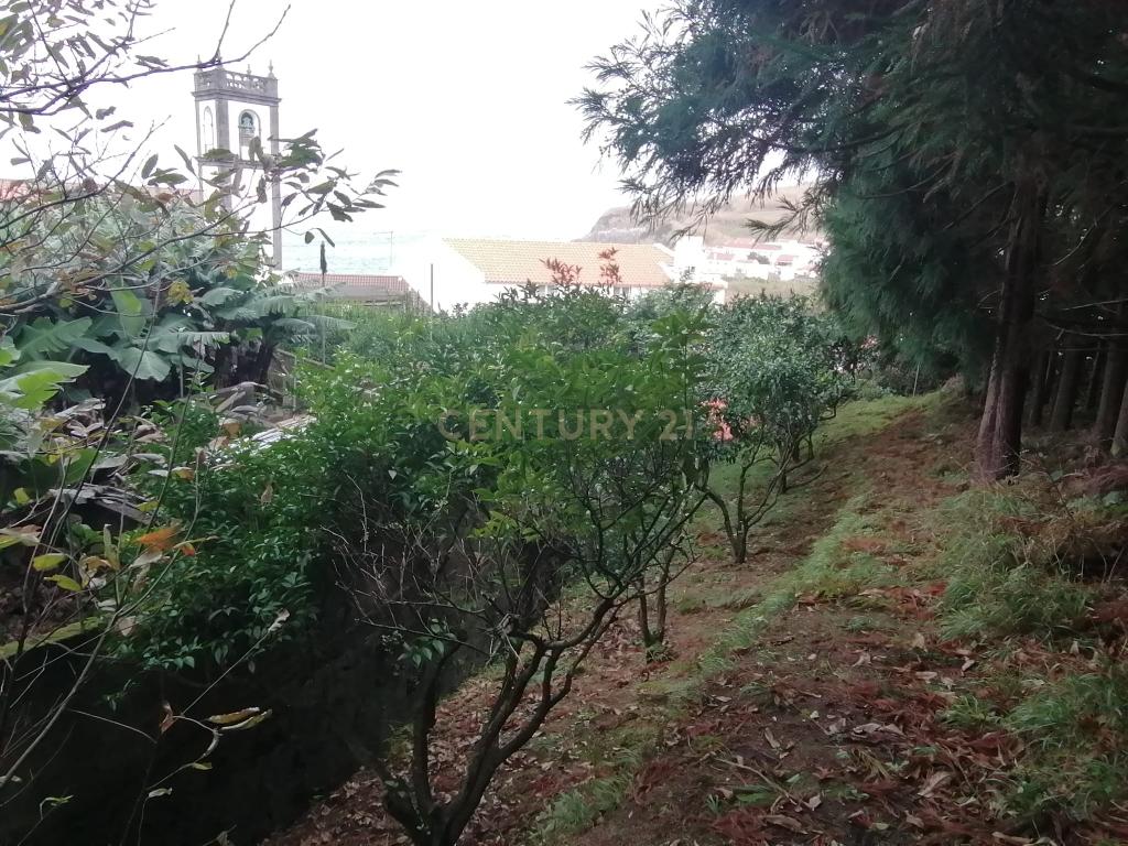 Terreno Rústico c/ 9740 m2 com Mata de Criptomérias - Image 9