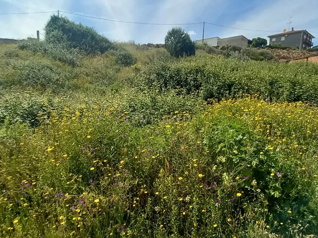 Terreno Rustico com 643 m2 - Image 6