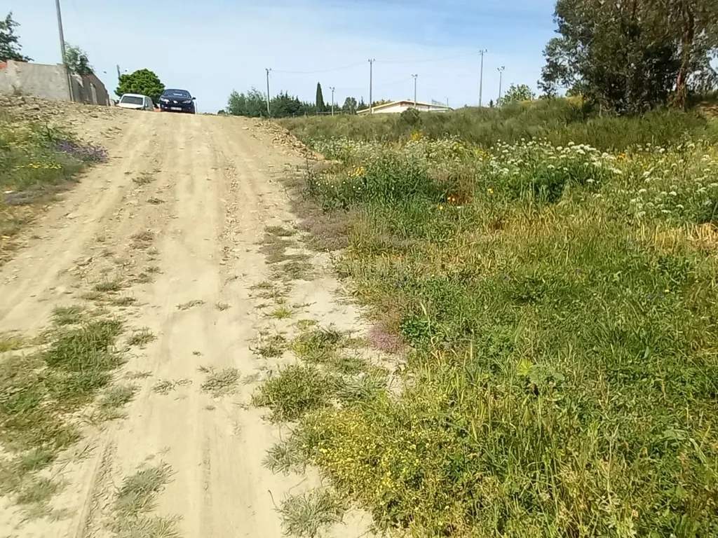 Terreno Rustico com 643 m2 - Image 8