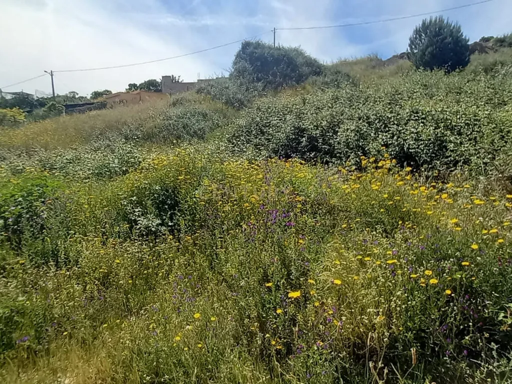 Terreno Rustico com 643 m2 - Image 2