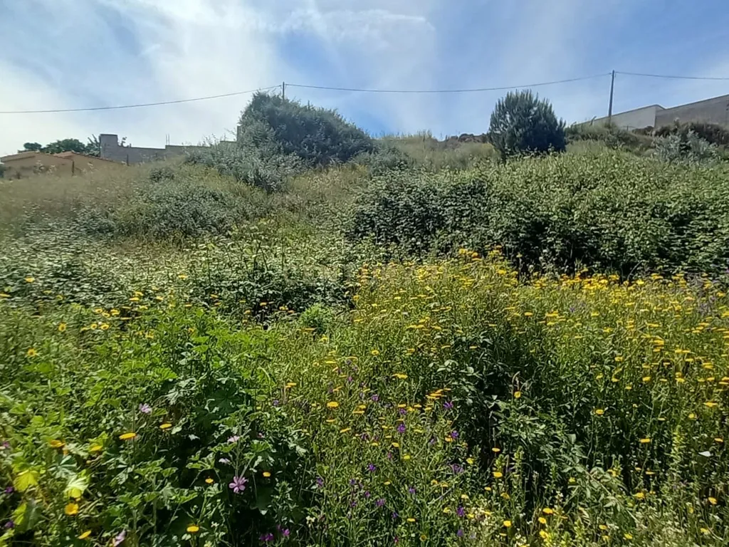 Terreno Rustico com 643 m2 - Image 7