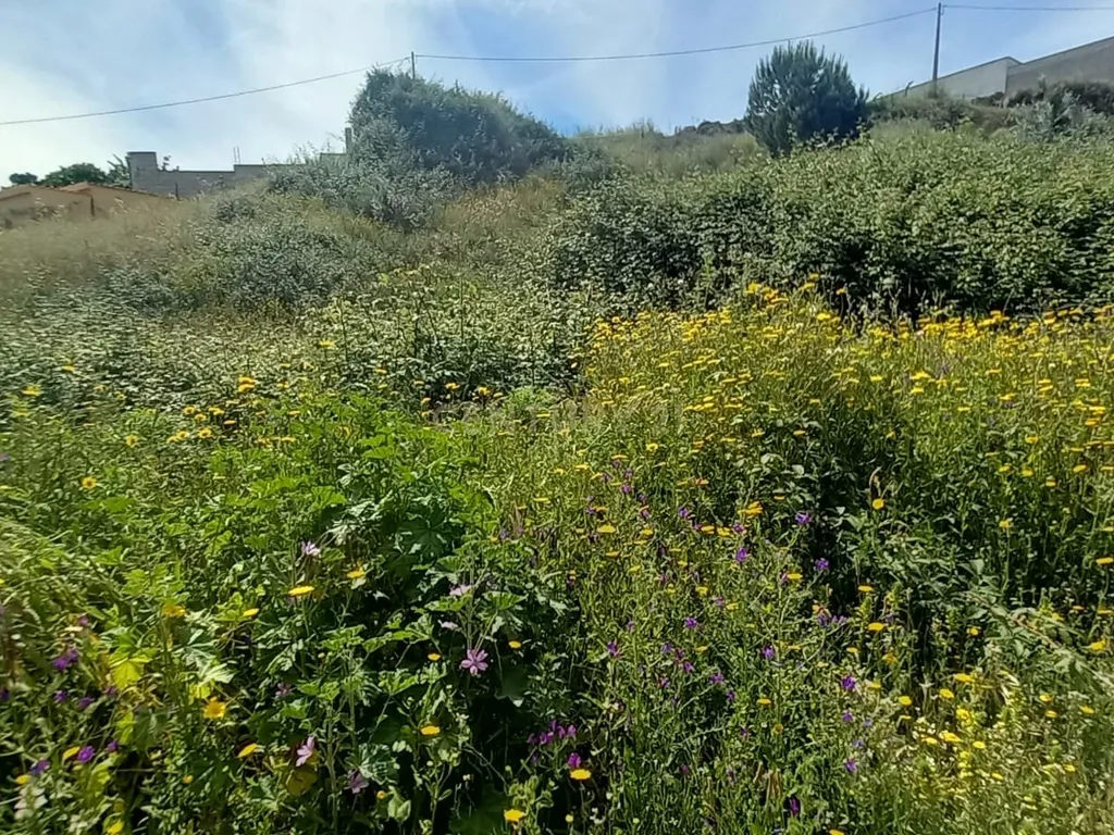 Terreno Rustico com 643 m2 - Image 3