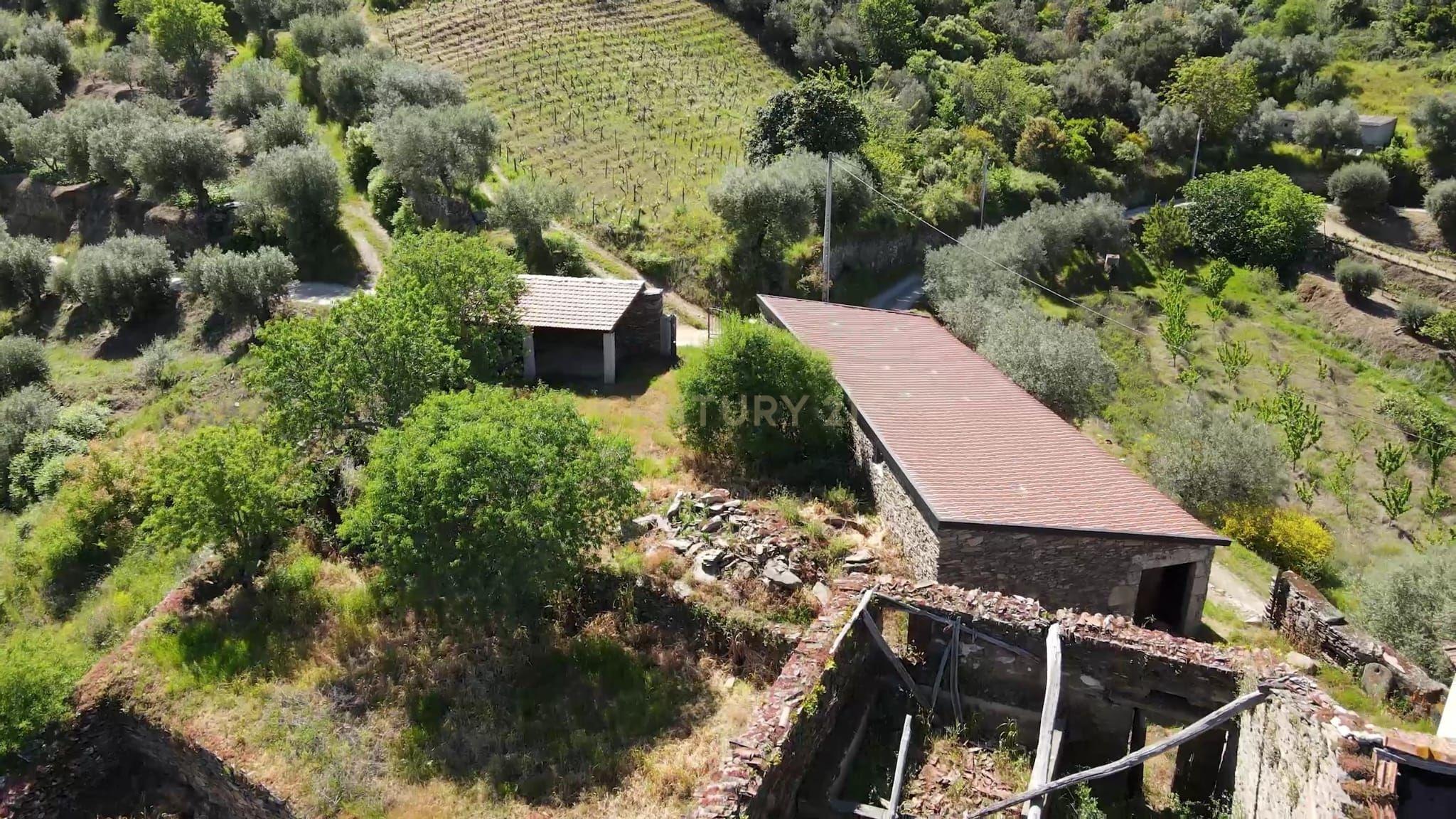 Quinta Fraga do Gato no Alto Douro Vinhateiro com cerca de 6000 m2 - Image 13