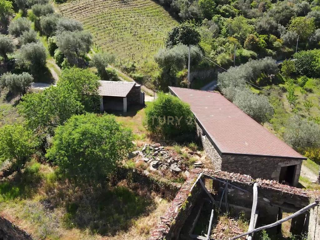 Quinta Fraga do Gato no Alto Douro Vinhateiro com cerca de 6000 m2 - Image 13