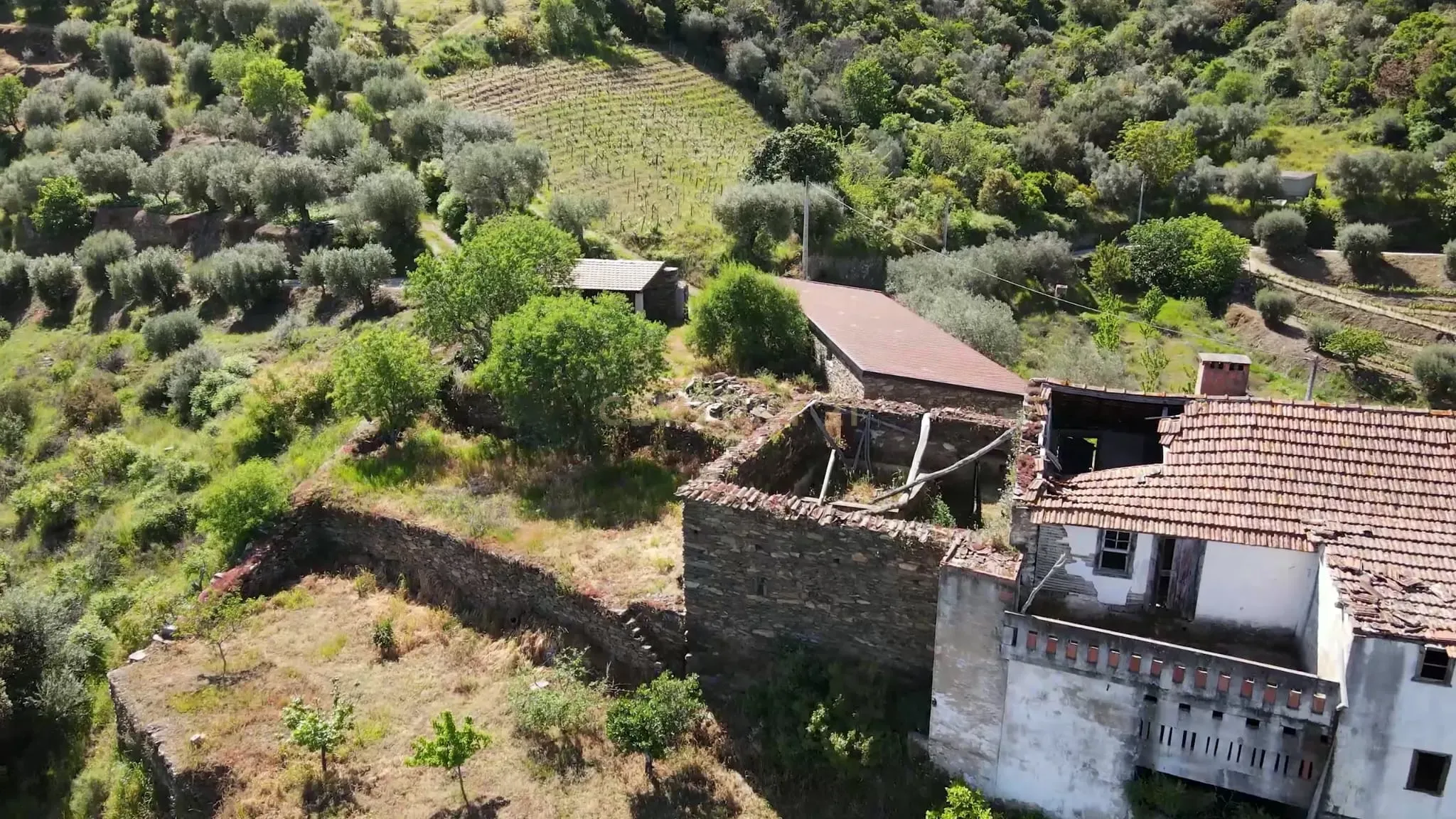 Quinta Fraga do Gato no Alto Douro Vinhateiro com cerca de 6000 m2 - Image 1