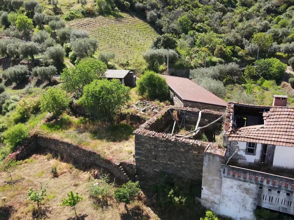 Quinta Fraga do Gato no Alto Douro Vinhateiro com cerca de 6000 m2 - Image 1