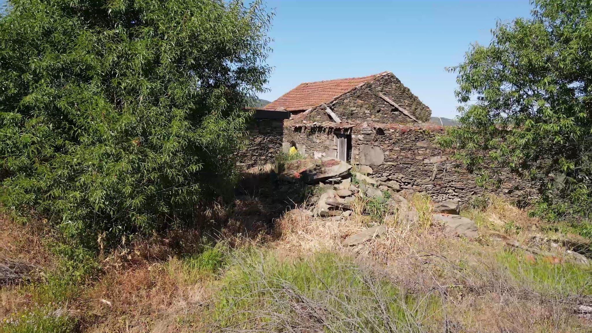 Quinta Fraga do Gato no Alto Douro Vinhateiro com cerca de 6000 m2 - Image 12