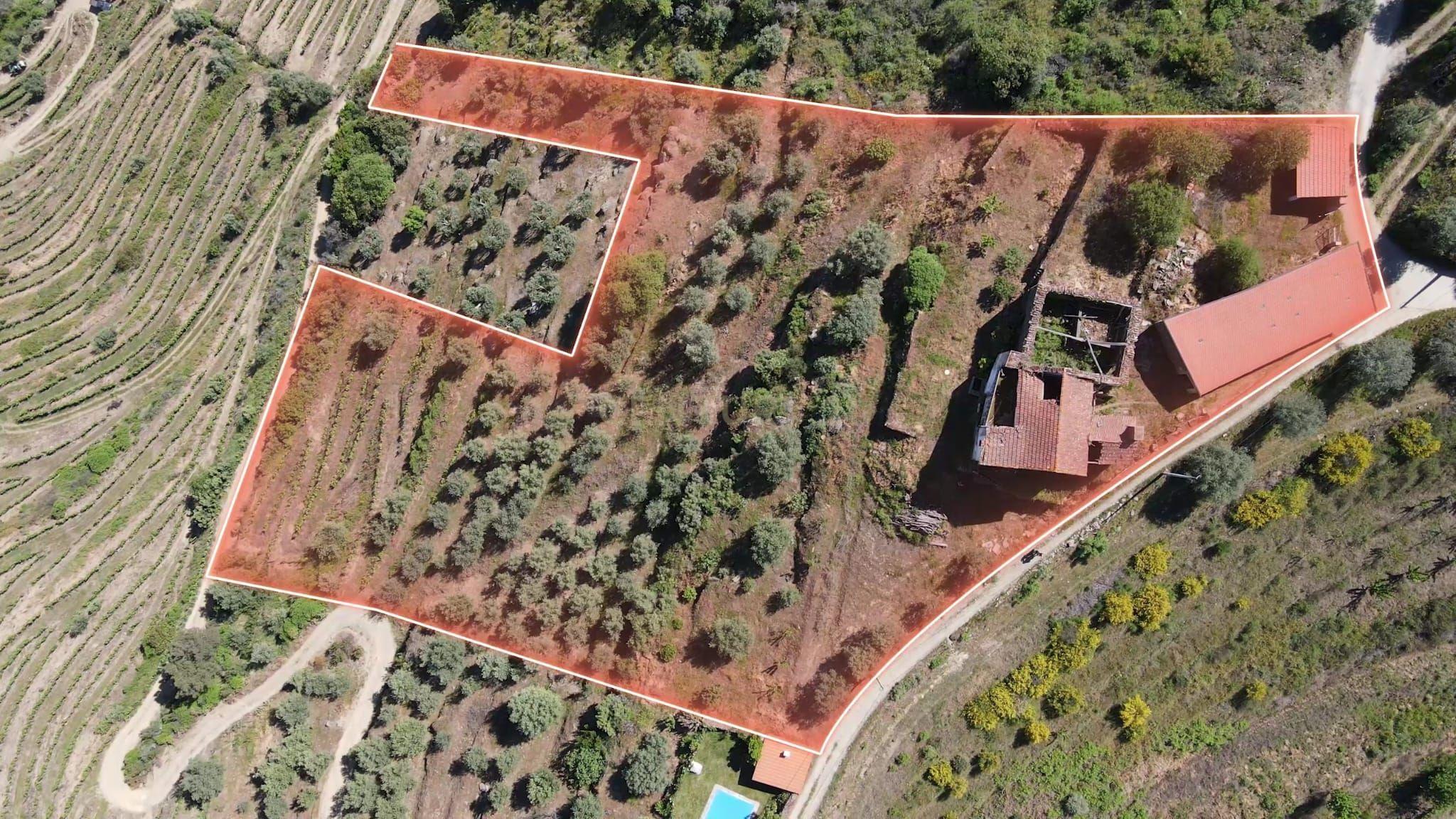 Quinta Fraga do Gato no Alto Douro Vinhateiro com cerca de 6000 m2 - Image 3